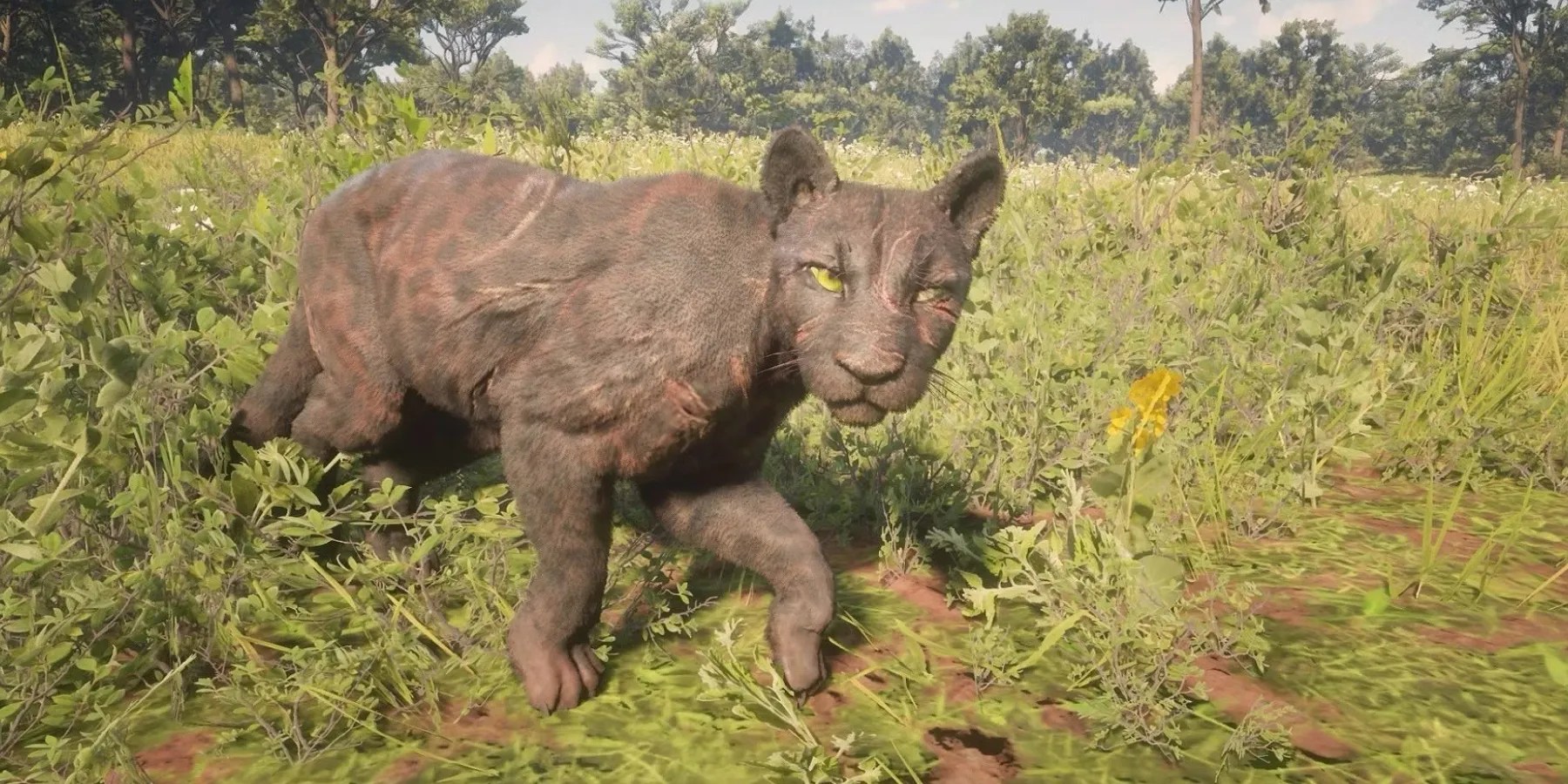 red_dead_2_panther_hunt_fail_1