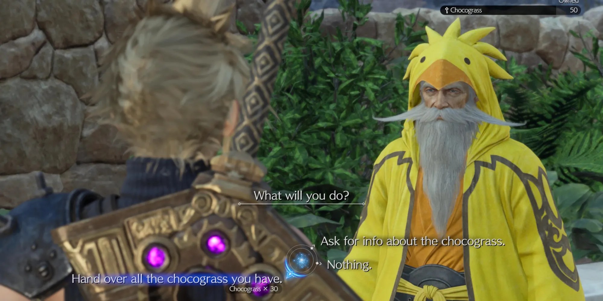 Chocobo Sage in Final Fantasy 7 Rebirth