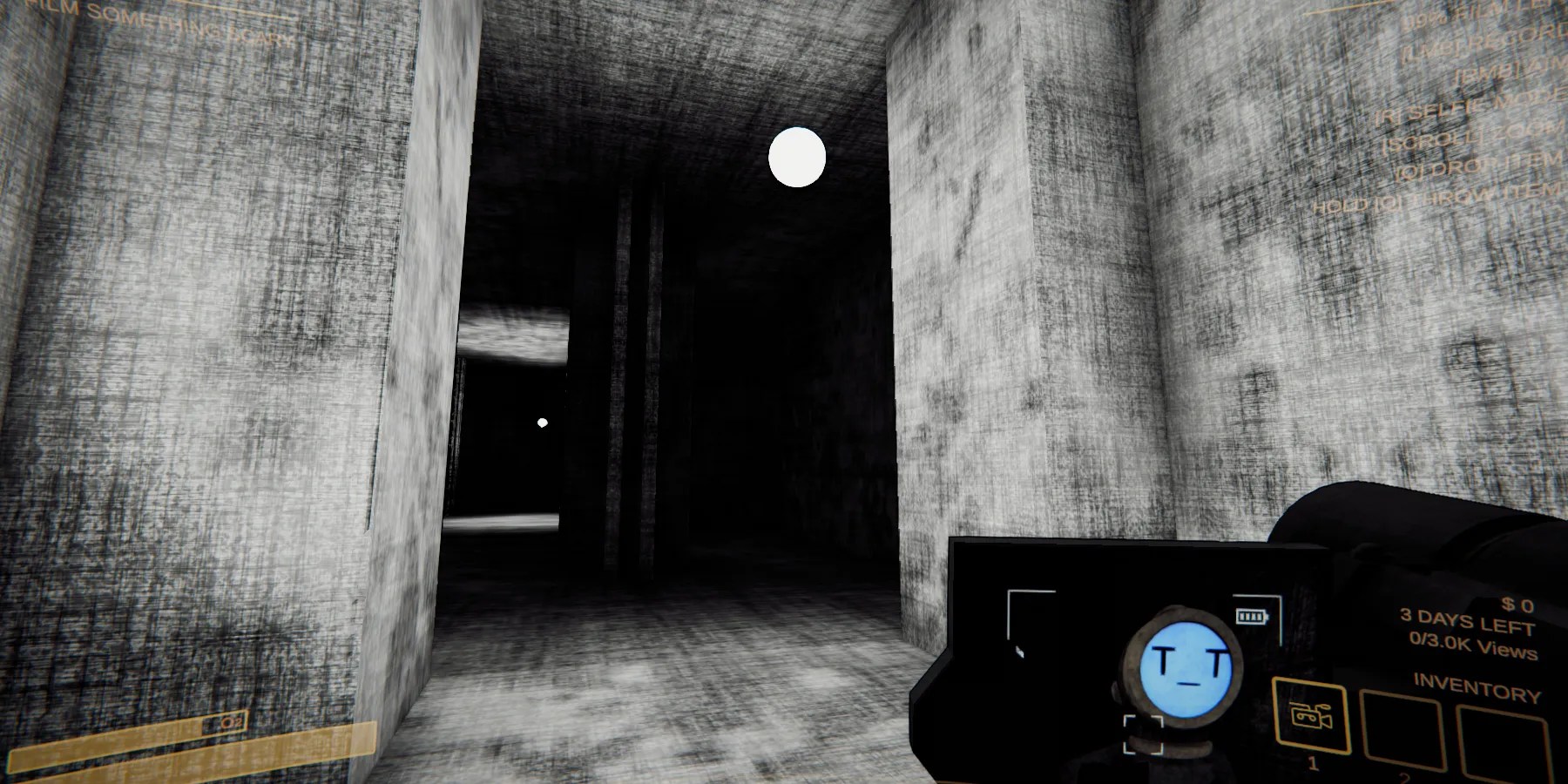 Camera during Content Warning gameplay