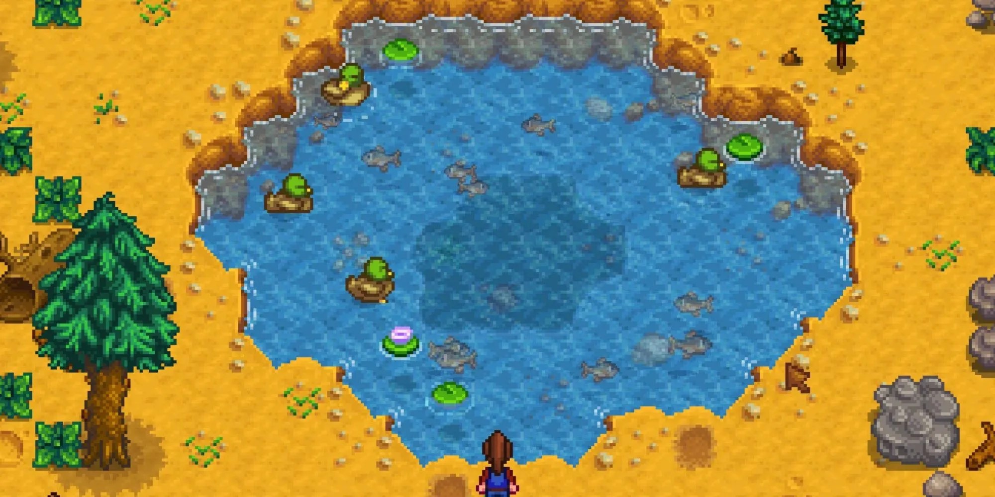 Ducks in a pond in Stardew Valley