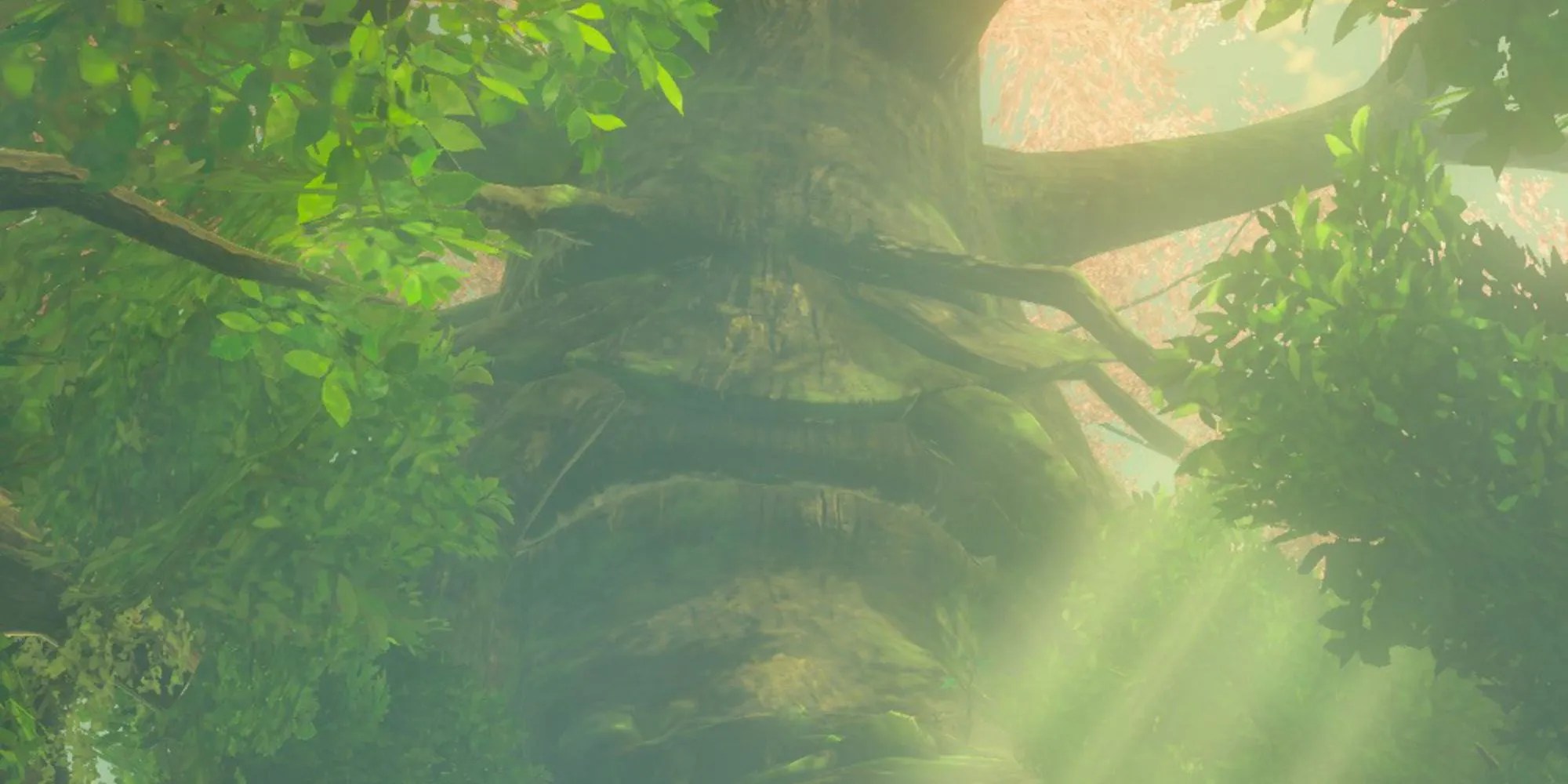 Link talks to the Great Deku Tree in Korok Forest.