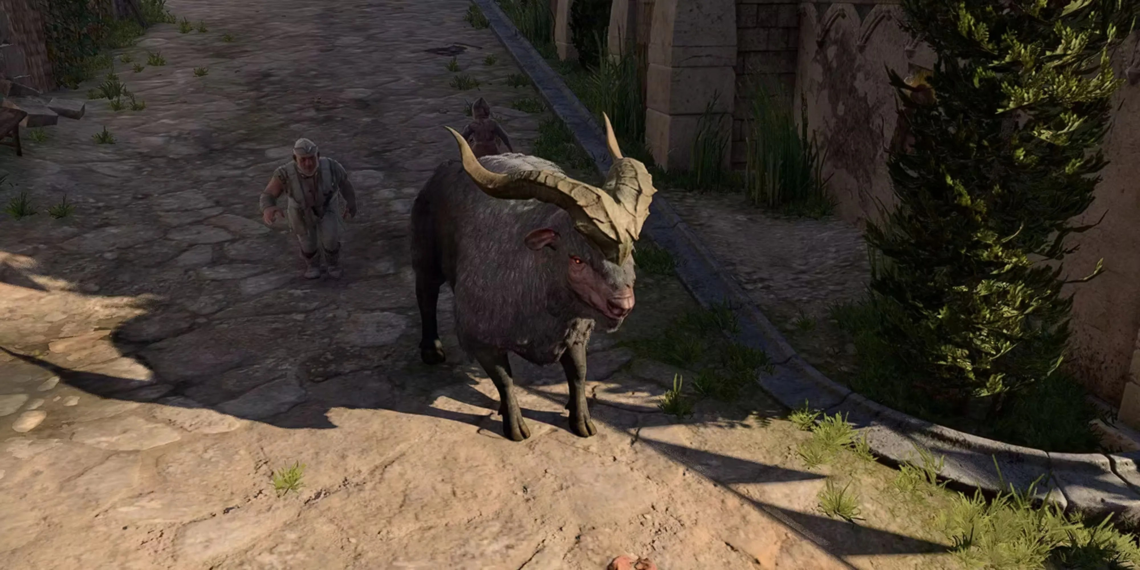 Deep Rothe in Baldurs Gate 3