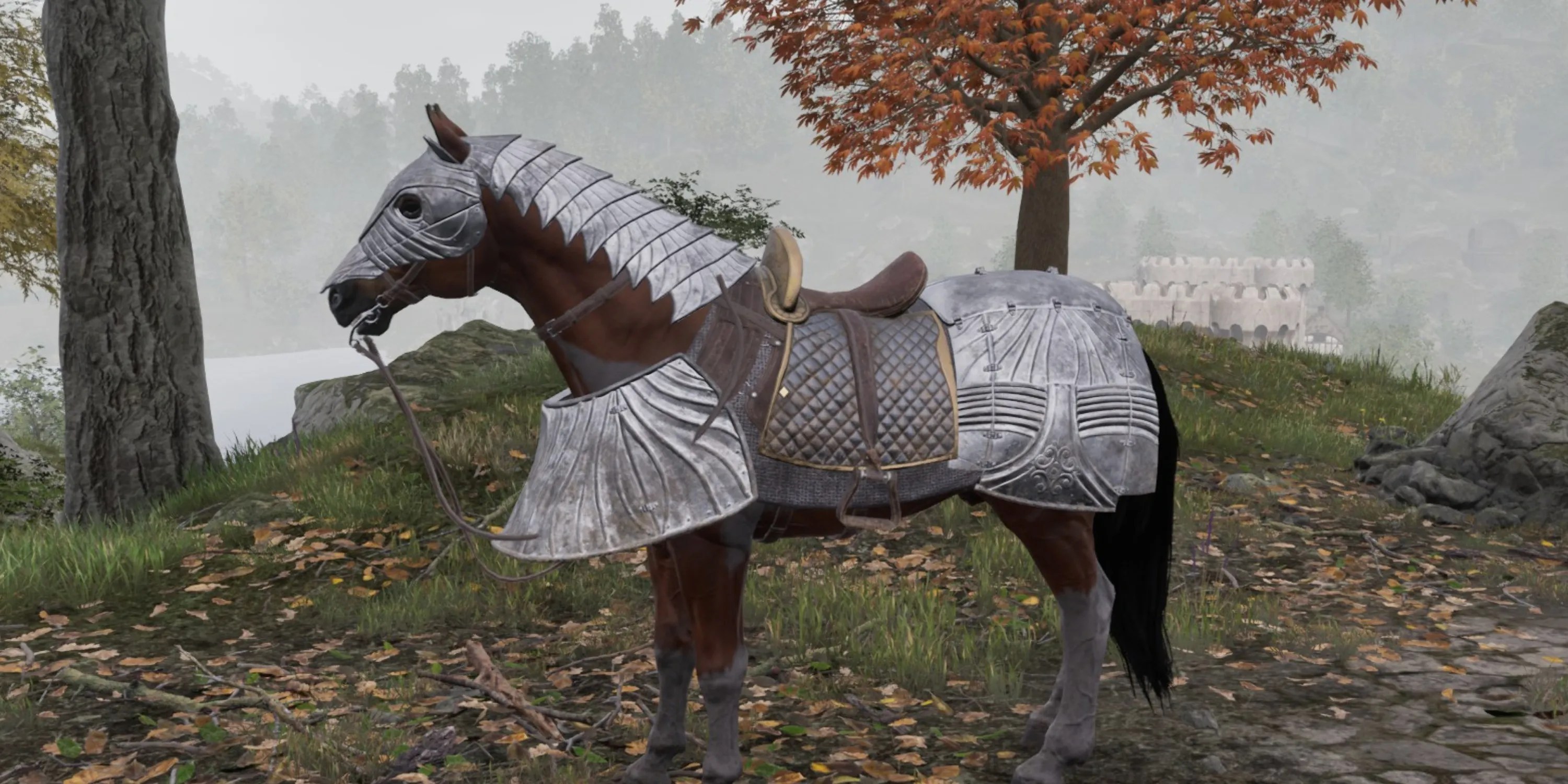 Old Nag
