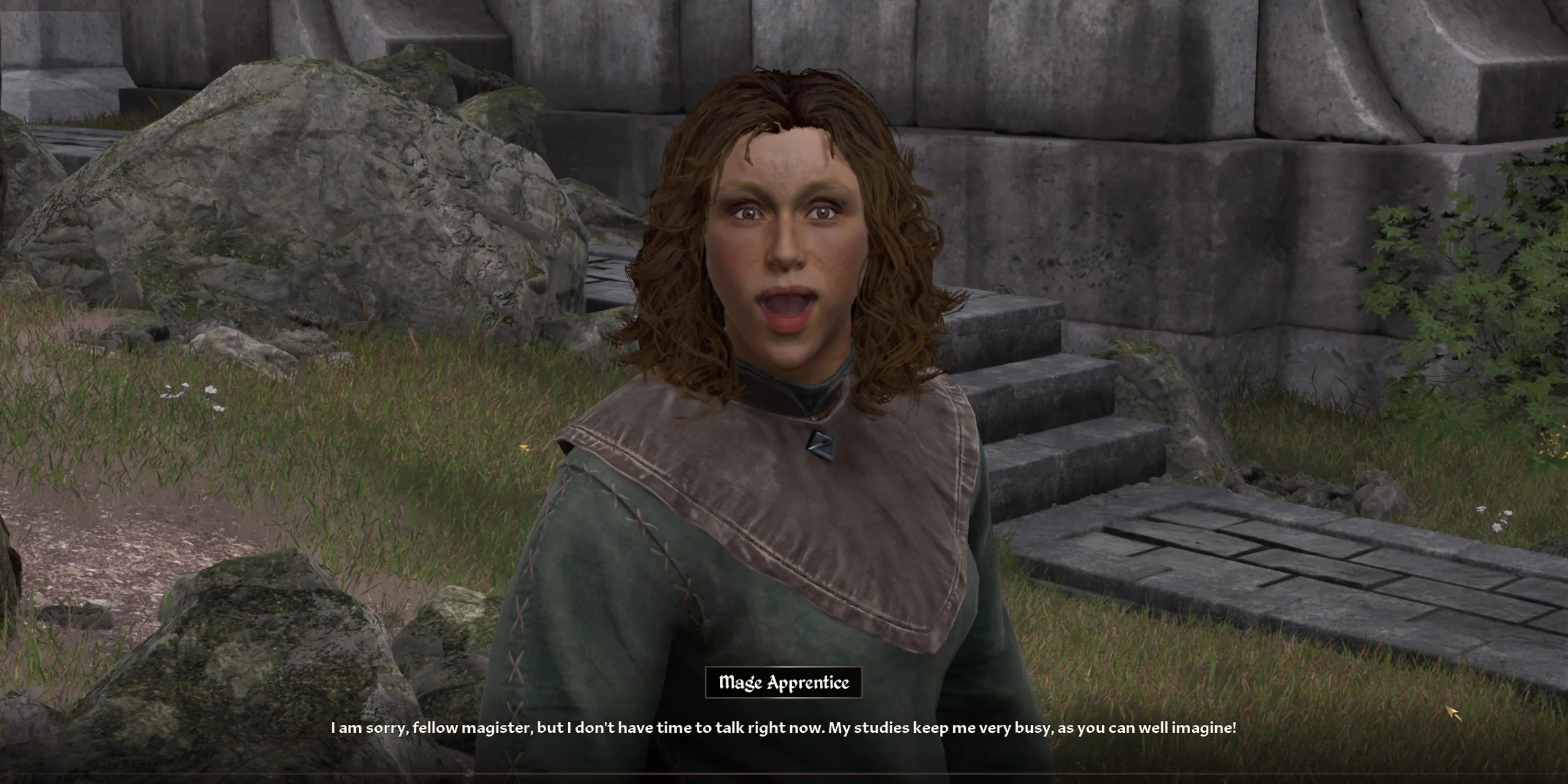 the mages apprentice