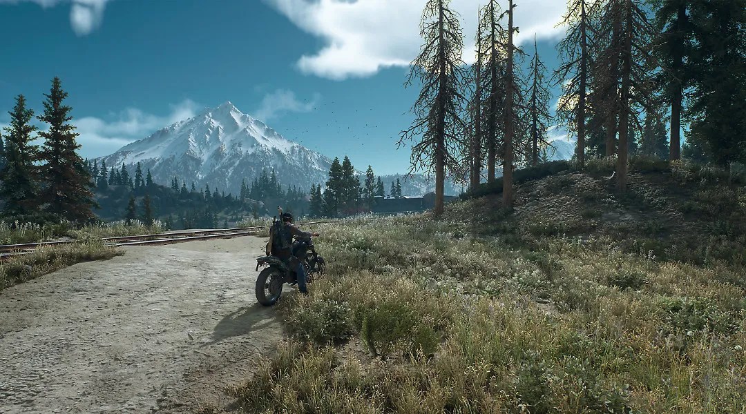 Days Gone How Big is the Game Map