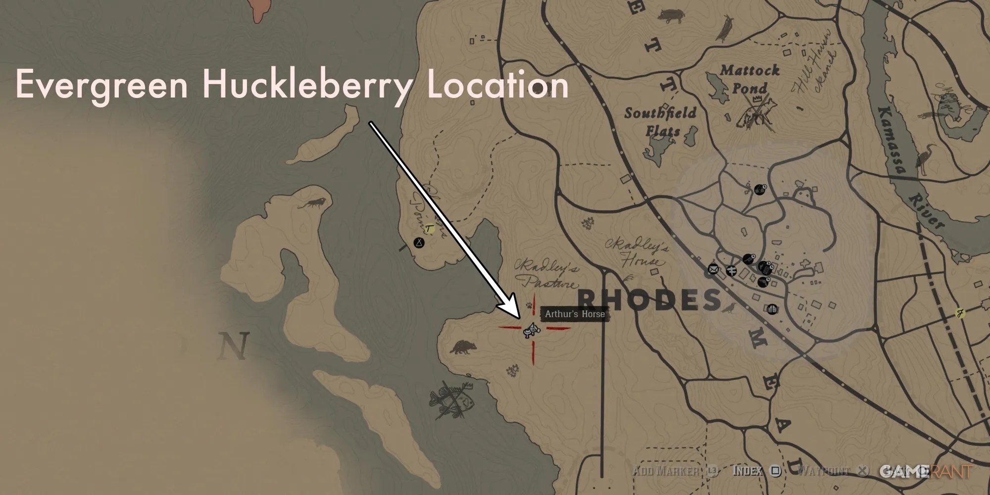 RDR2-Berries-Evergreen-Huckleberry-Map-2
