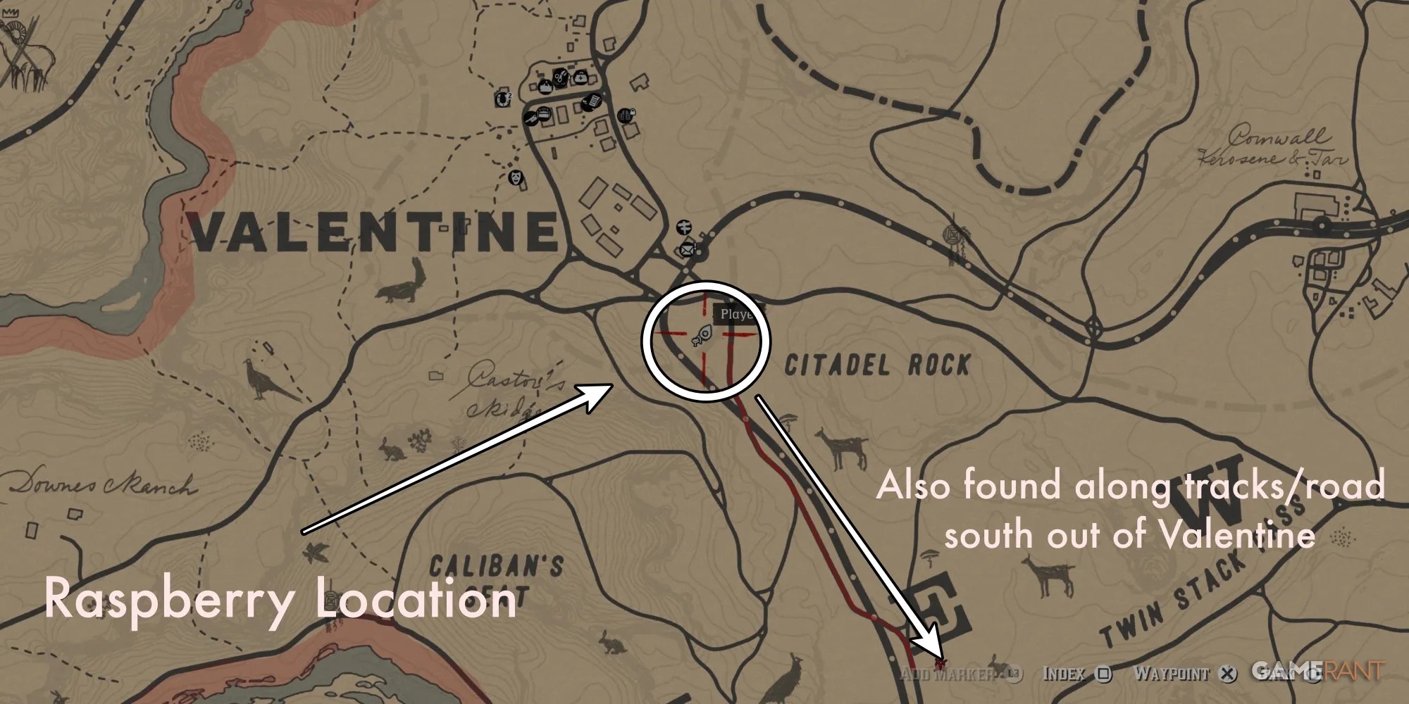 RDR2-Berries-Raspberry-Map