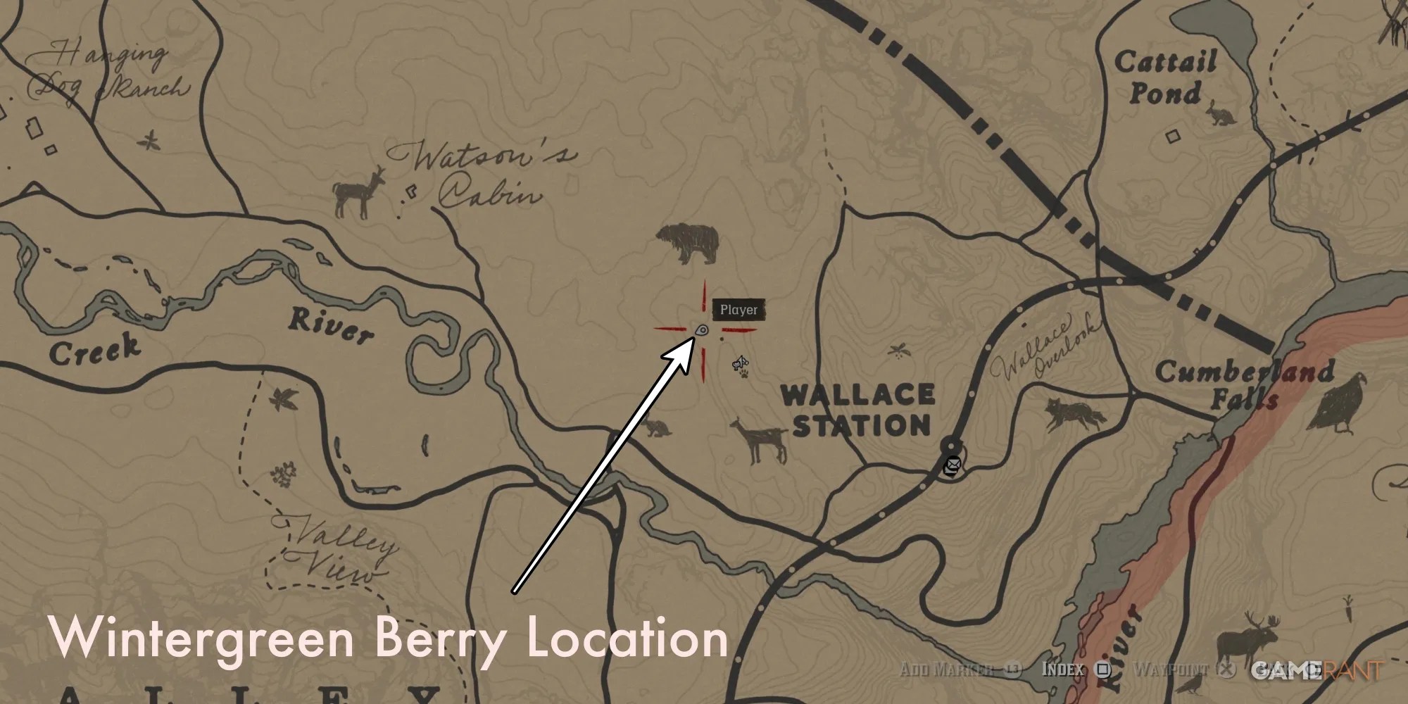 RDR2-Berries-Wintergreen-Berry-Map