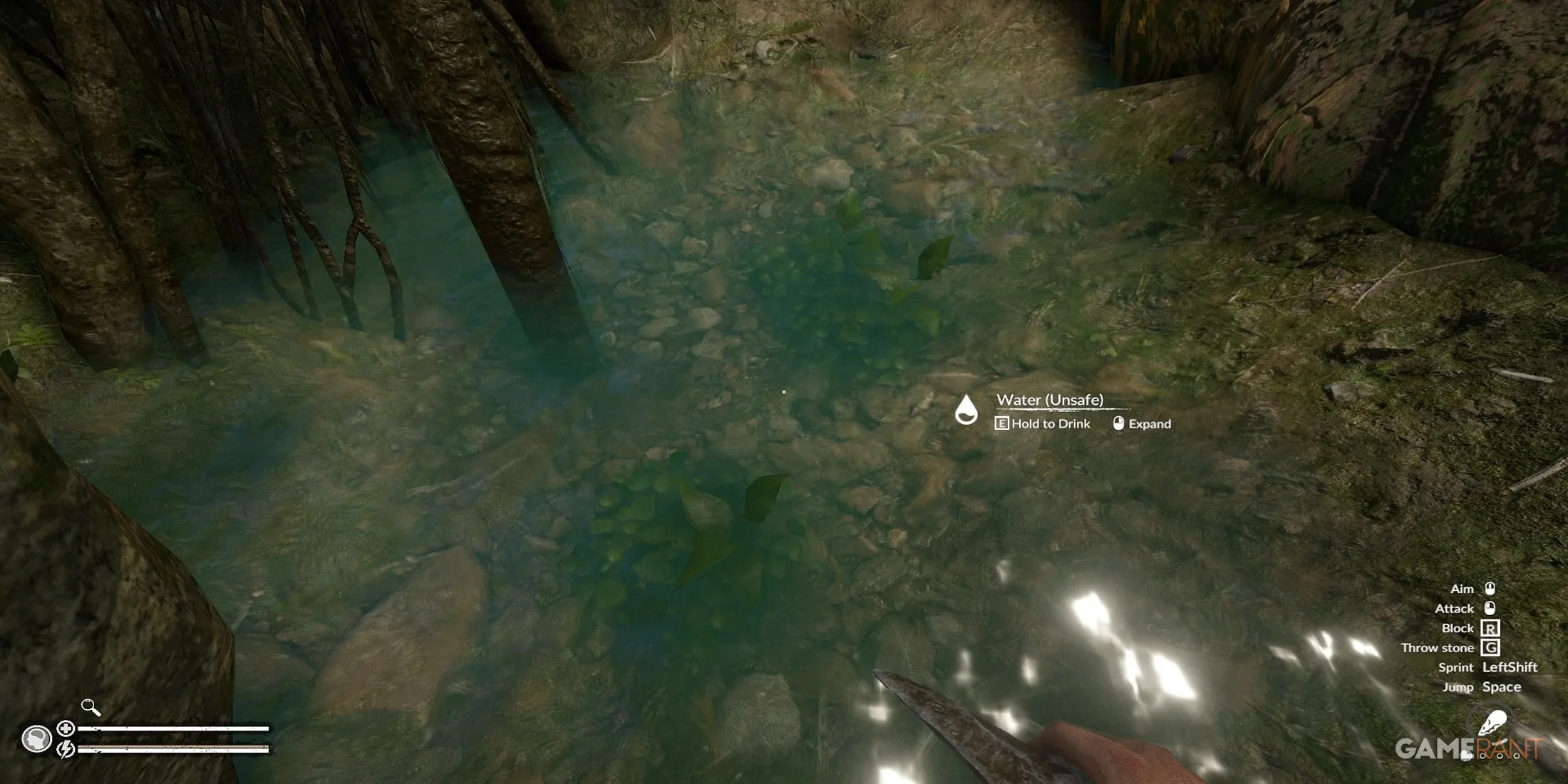 A Water Source In Green Hell