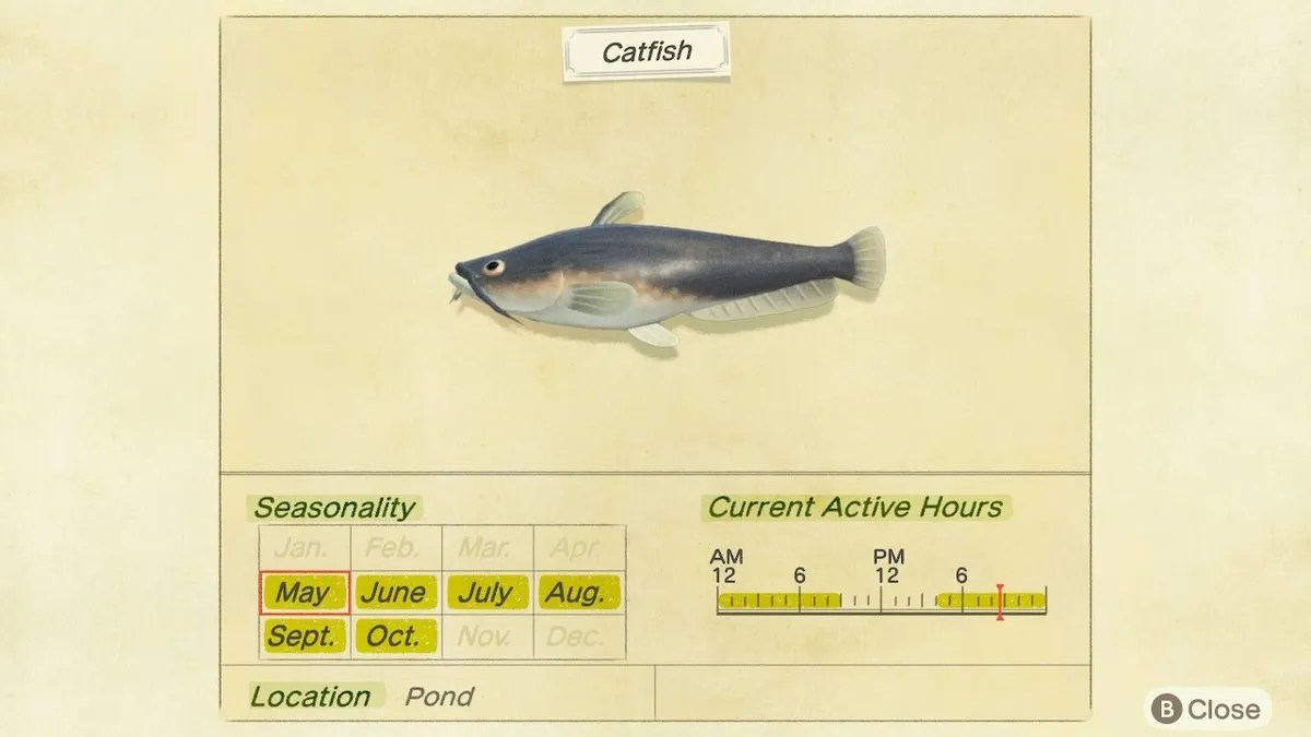 Animal Crossing New Horizons Fish Catching Guide
