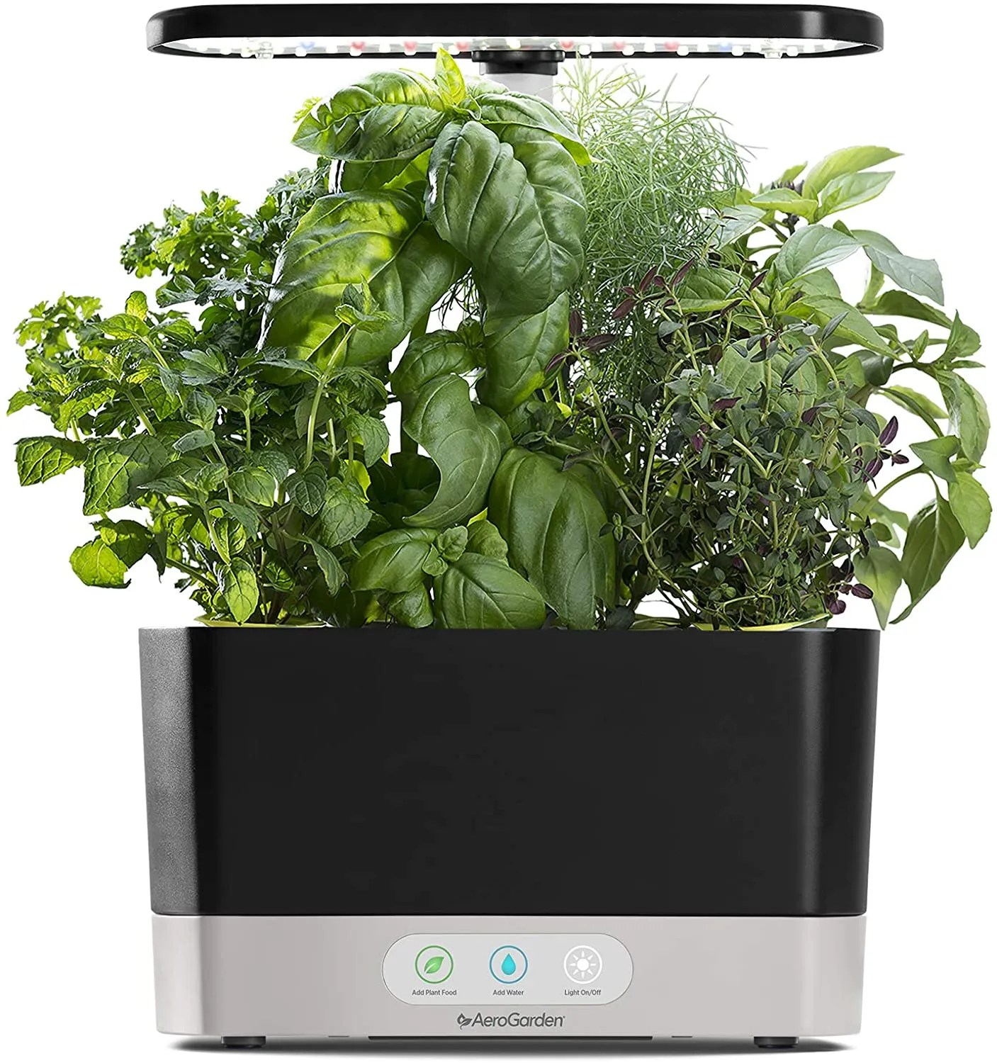 The 7 Best Hydroponic Indoor Gardens for Your Home