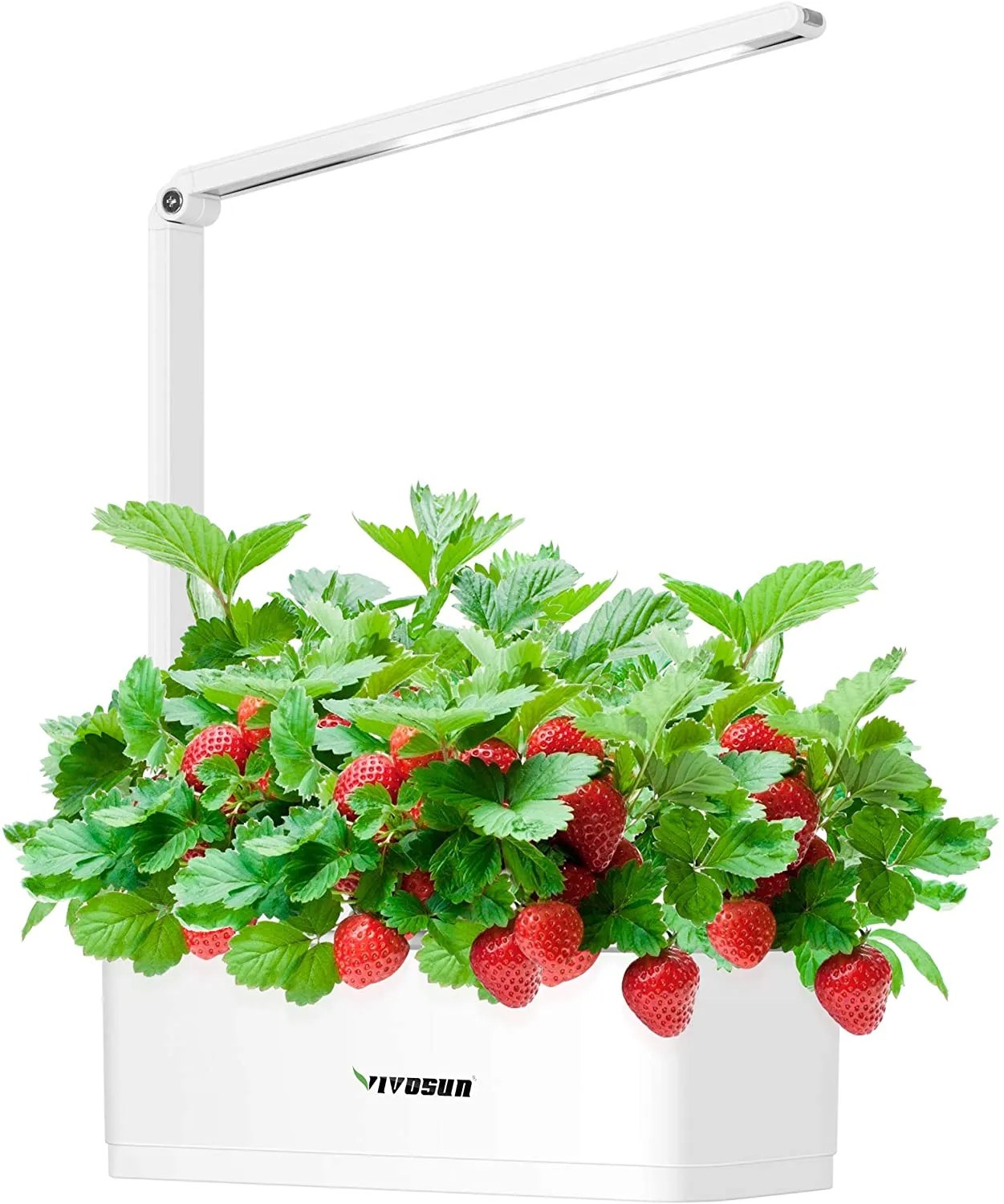 The 7 Best Hydroponic Indoor Gardens for Your Home