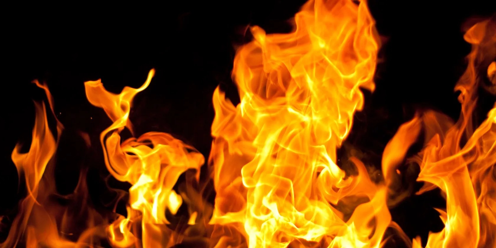 Fire flames on black background.