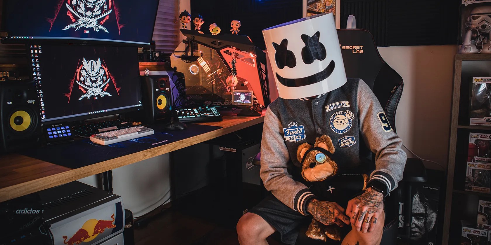 anonymous Twitch streamer wearing a mask