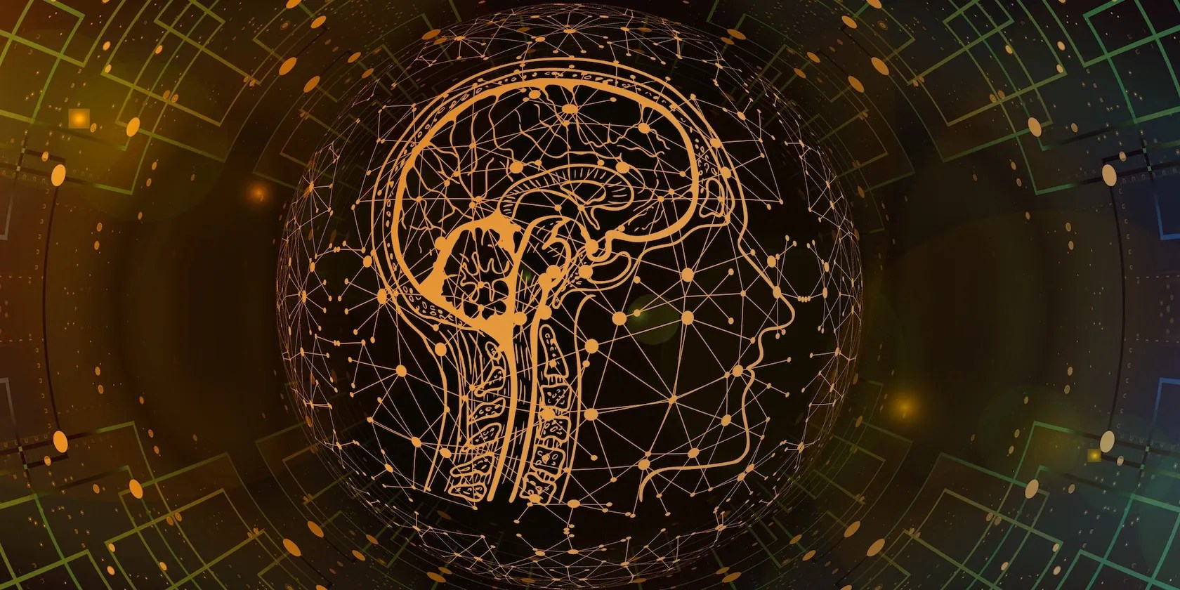 Artificial Intelligence showing brain and networks