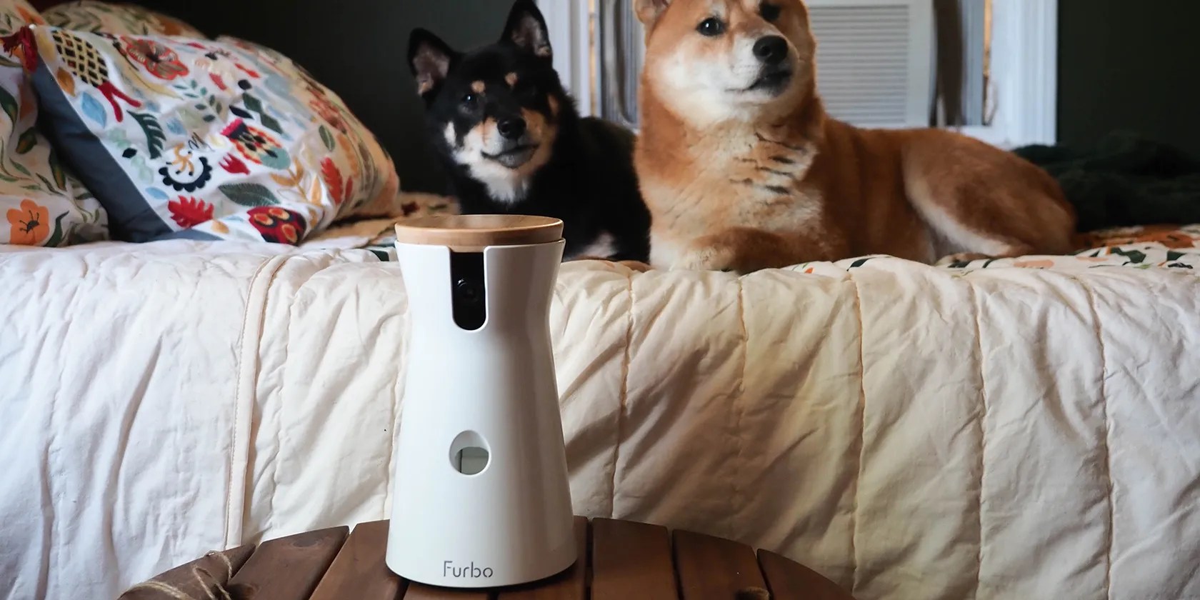 Furbo 360 featured image