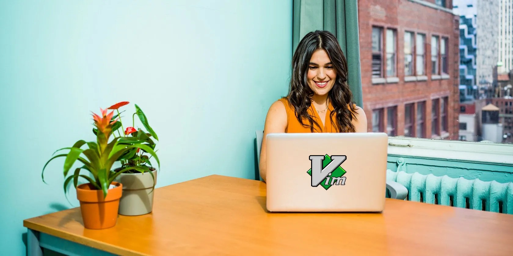 lady installing vim plugis on pc