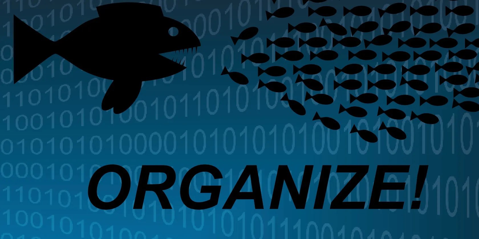 A swarm of fish in a blue shade