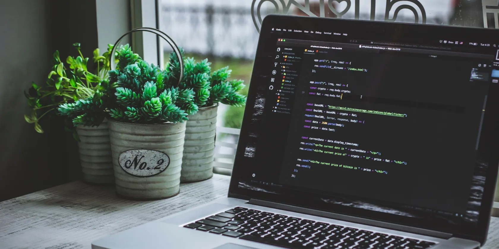 Code on computer next to plants