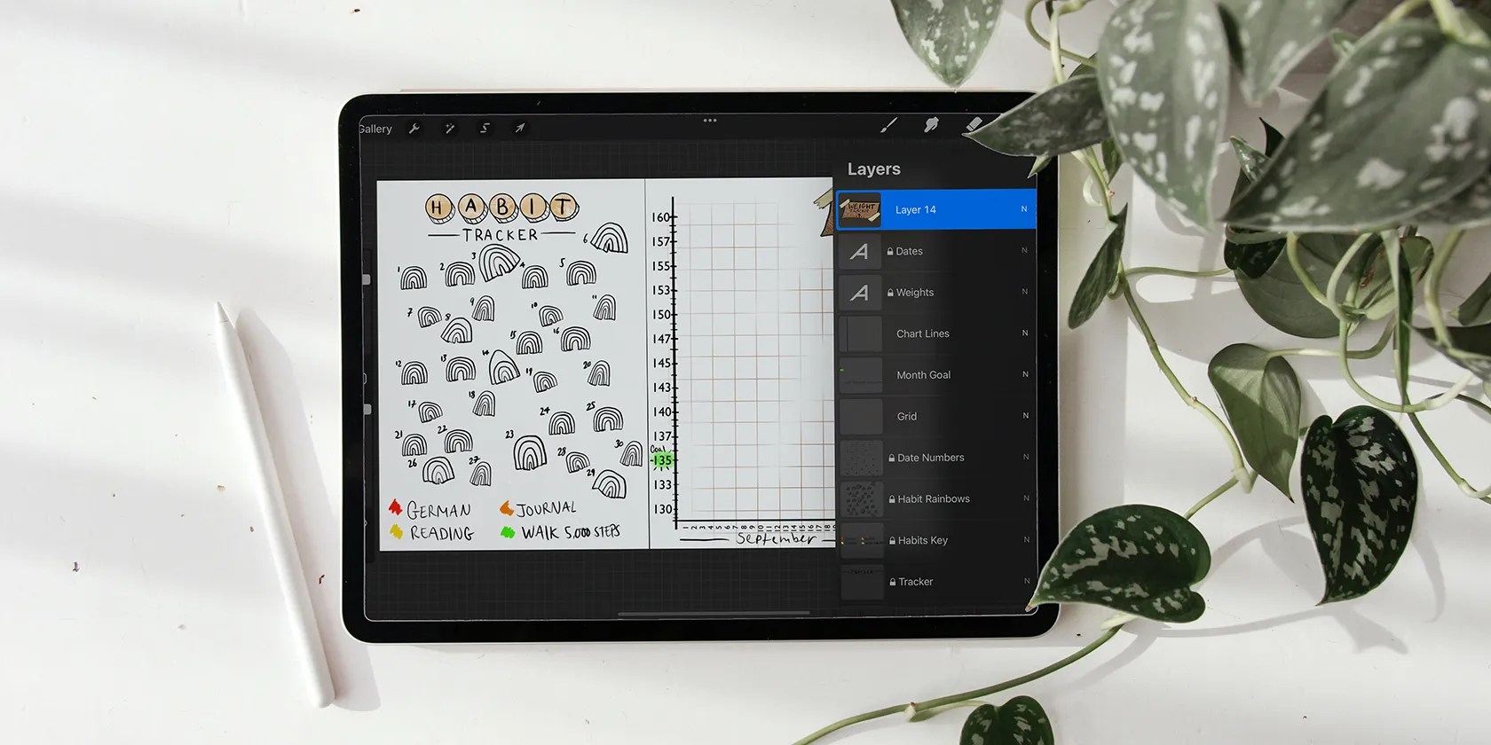 iPad with Procreate on screen on white table next to Apple Pencil and a green plant.