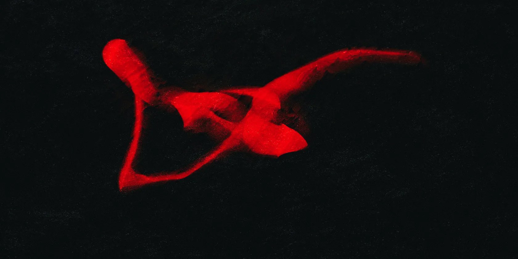 Abstract Image by Craig Boehman