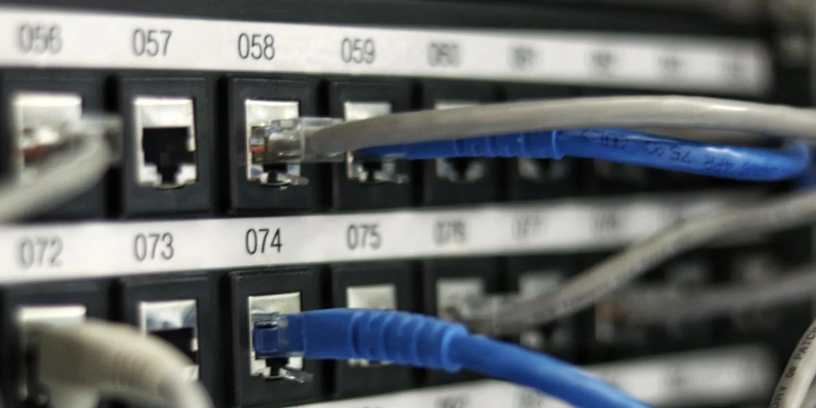 Image of Ethernet cables connected to a switch