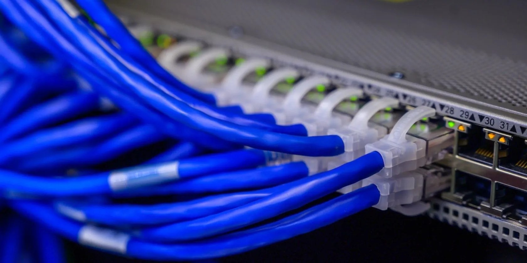 multiple blue Ethernet cables plugged into the back of a network router