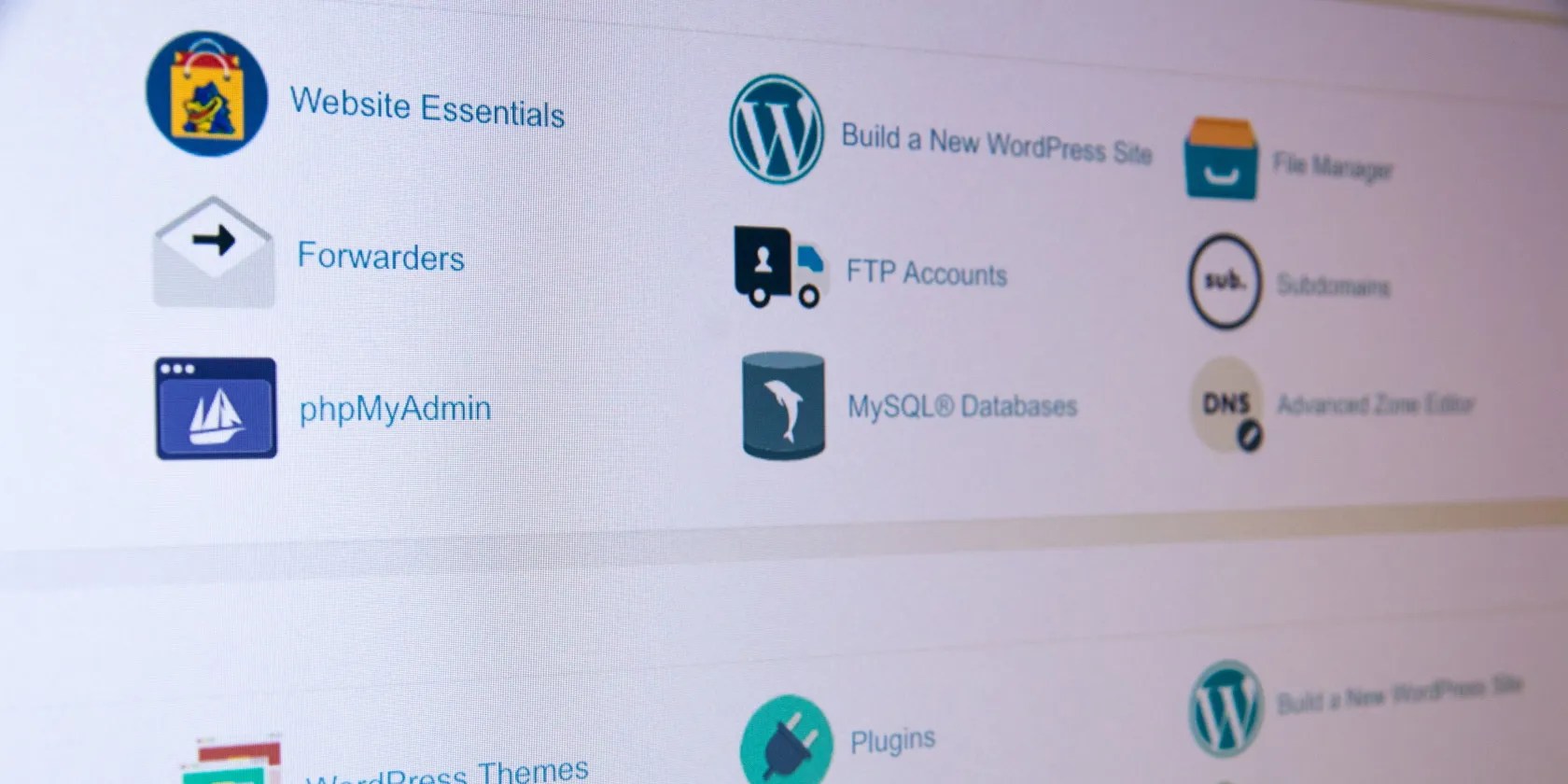 Web Hosting CMS Interface
