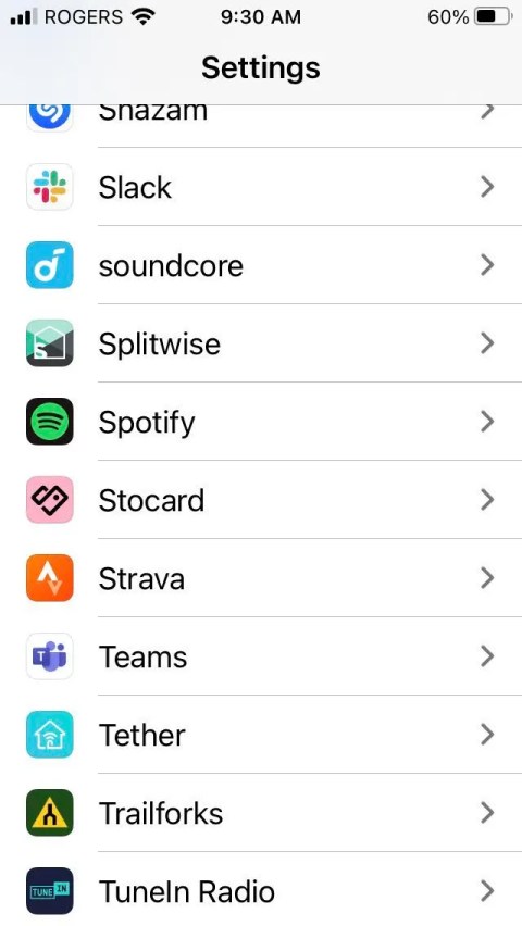 Screenshot of iOS settings