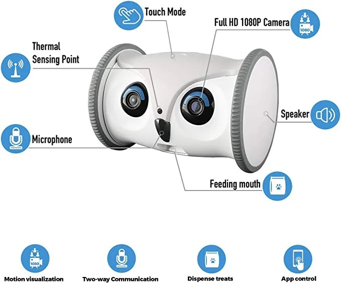 The Best Smart Toys for Your Pets