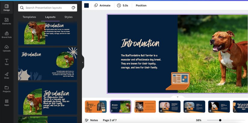 Canva styles and layouts feature