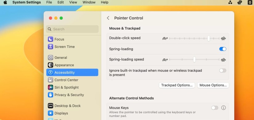 Disable Mouse Keys in System Settings