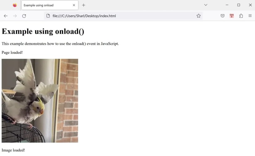 HTML image loaded in browser