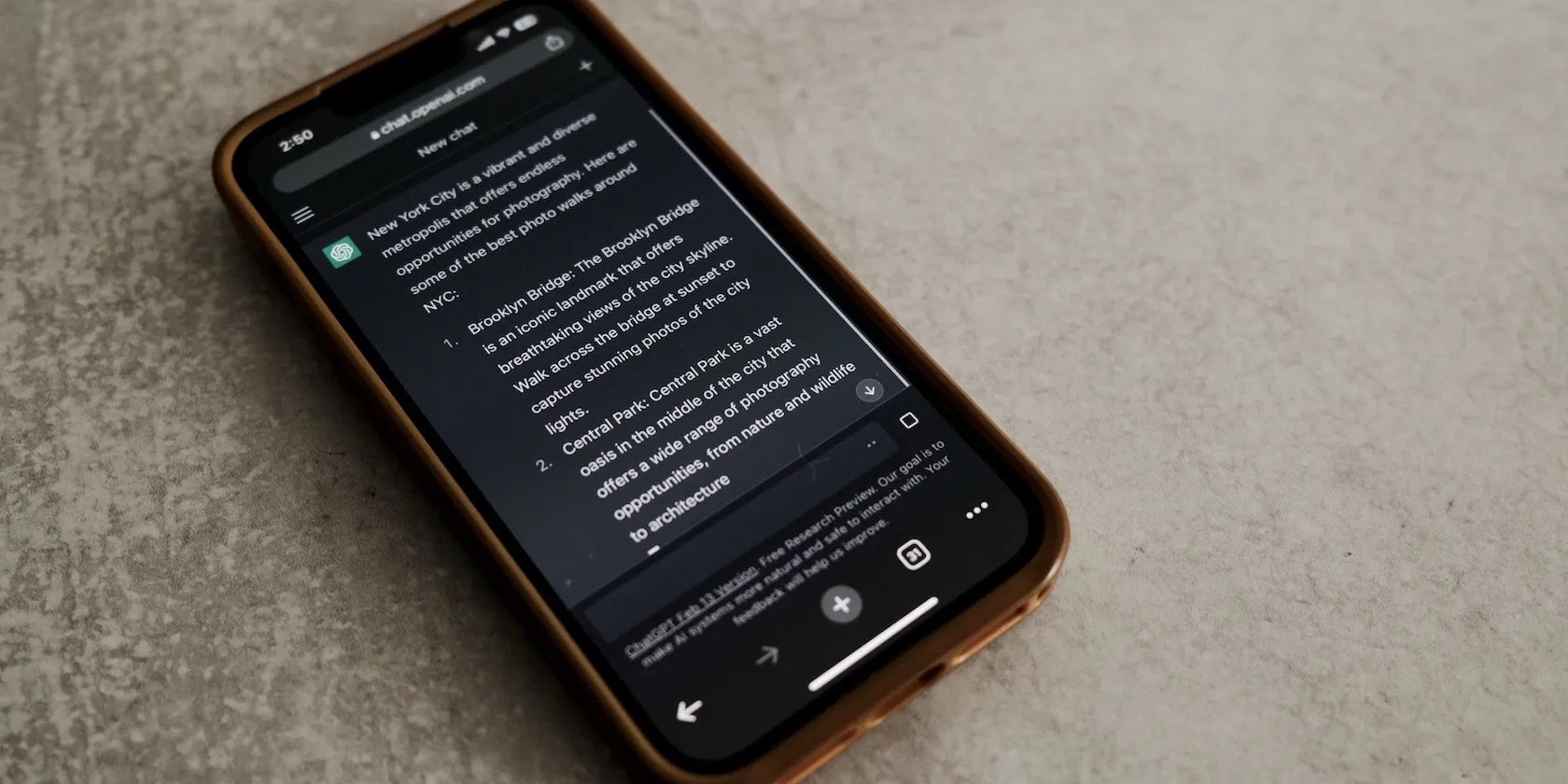 A ChatGPT Conversation About New York on Mobile
