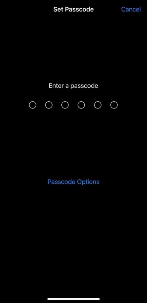 Enter Passcode screen on iPhone