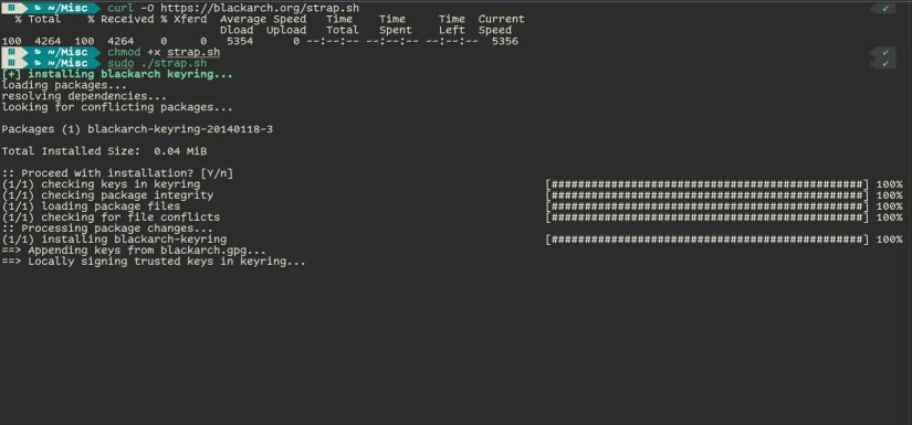Installing and running the blackarch strap script