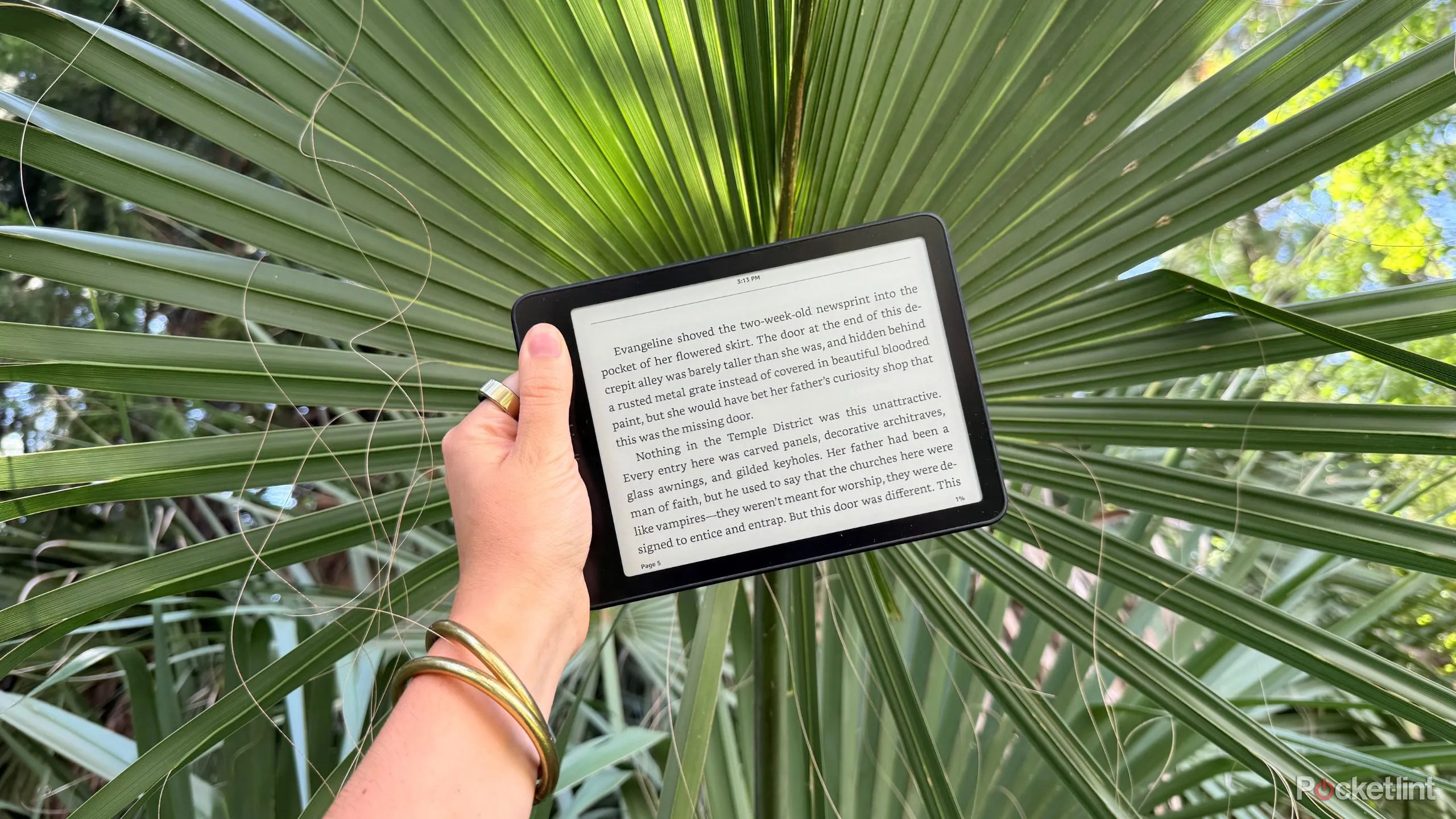 I switched my Kindle to this secret view, and I am by no means going again