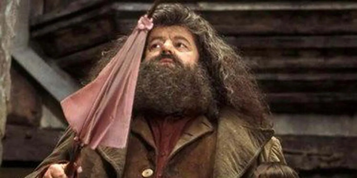 Harry Potter Hagrid's 5 Greatest Strengths (& 5 Weaknesses)