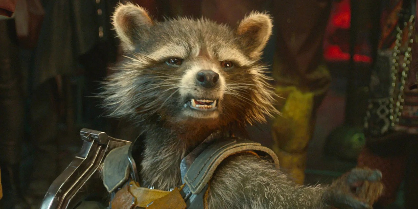 Avengers 3 Rocket Raccoon Doesn't Care For Superheroes