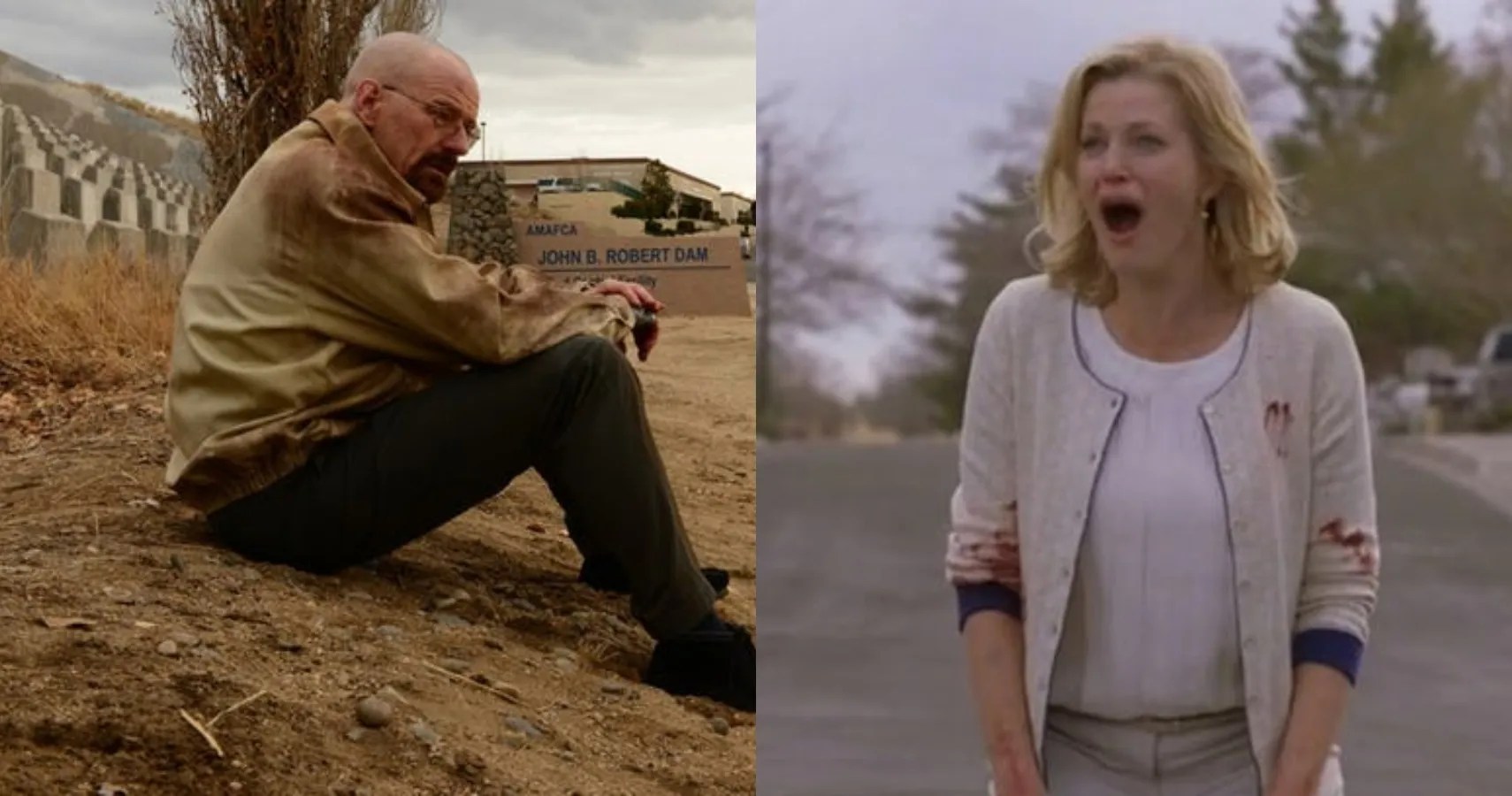 Breaking Bad 10 Hidden Details You Missed In The Episode Ozymandias