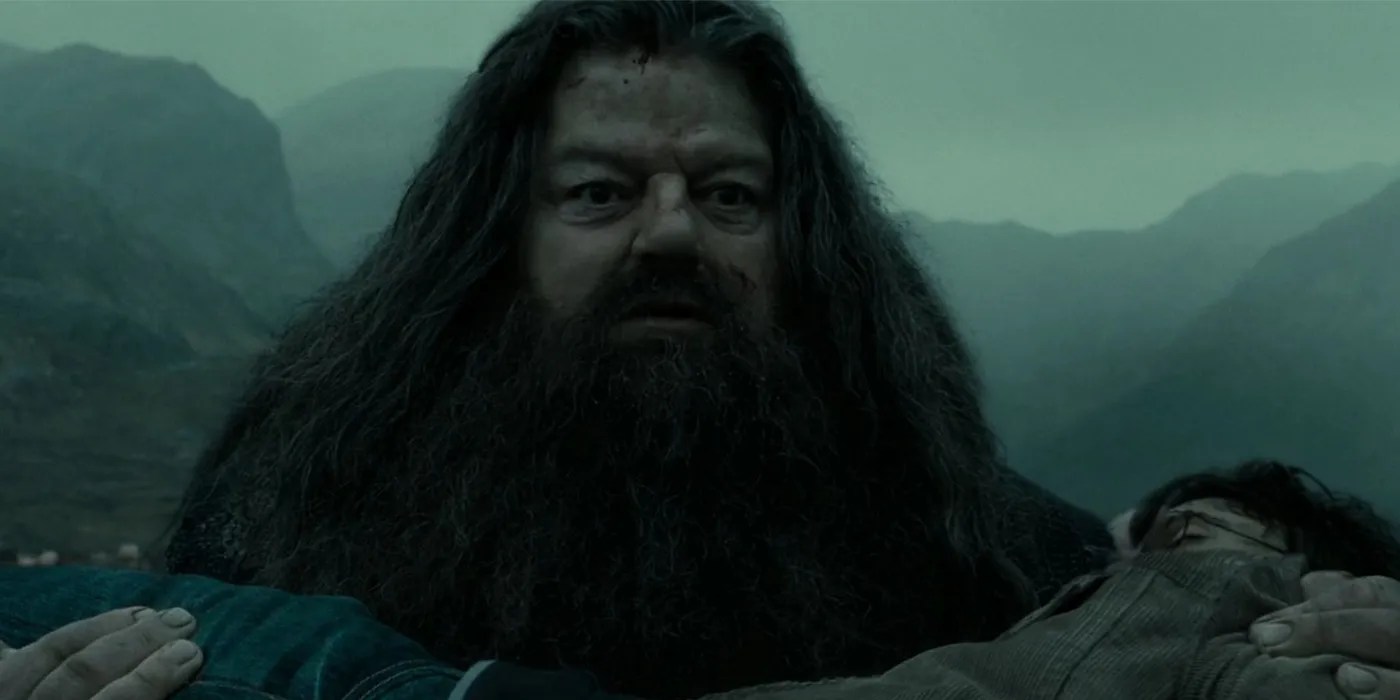 Harry Potter What Are The Main Characters' Boggarts