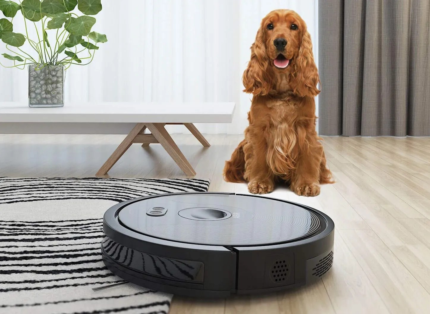 The Best Robot Vacuums For 2020