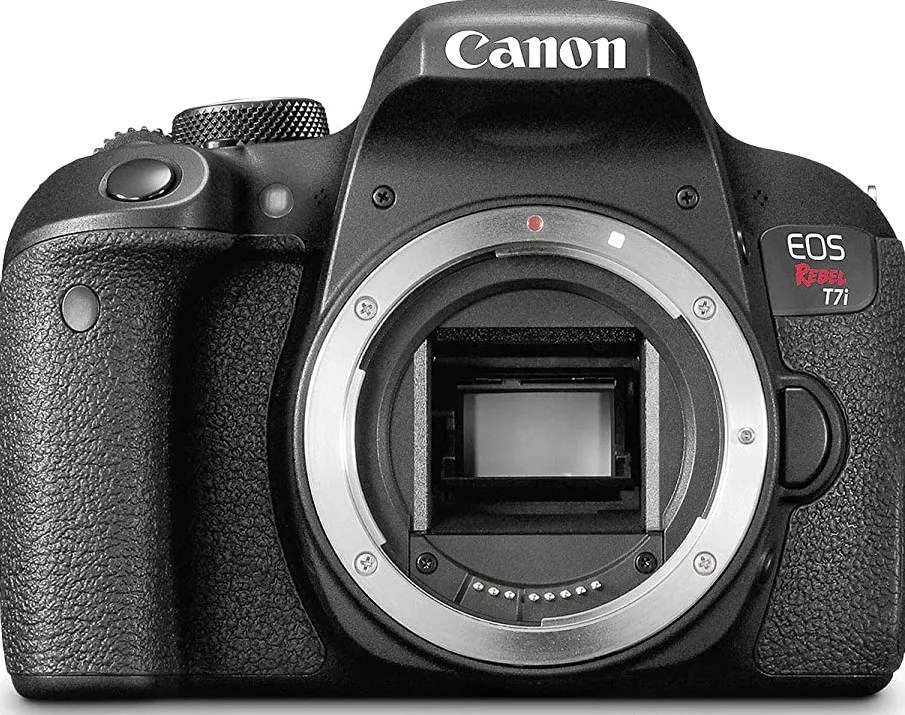 Best Canon Cameras (Updated 2020)