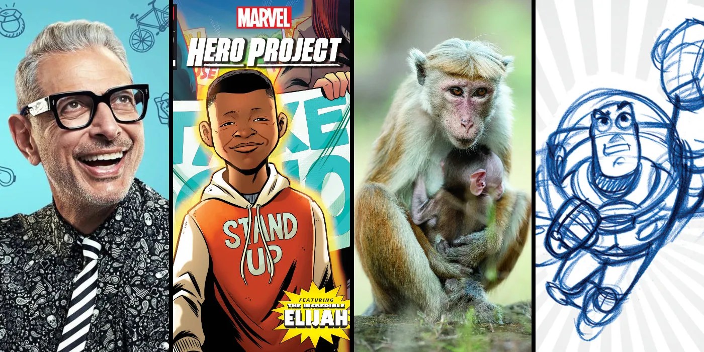 Best Documentaries On Disney+ Screen Rant