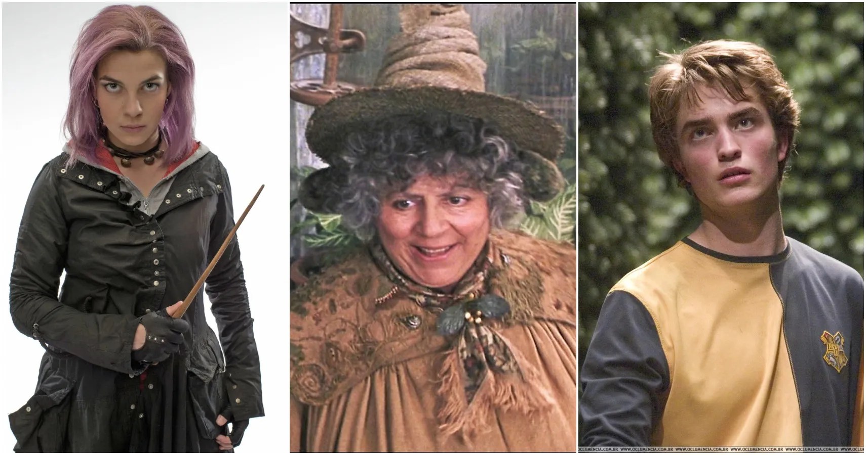Harry Potter 5 Hufflepuffs Who Got Fitting Endings (& 5 Who Deserved More)