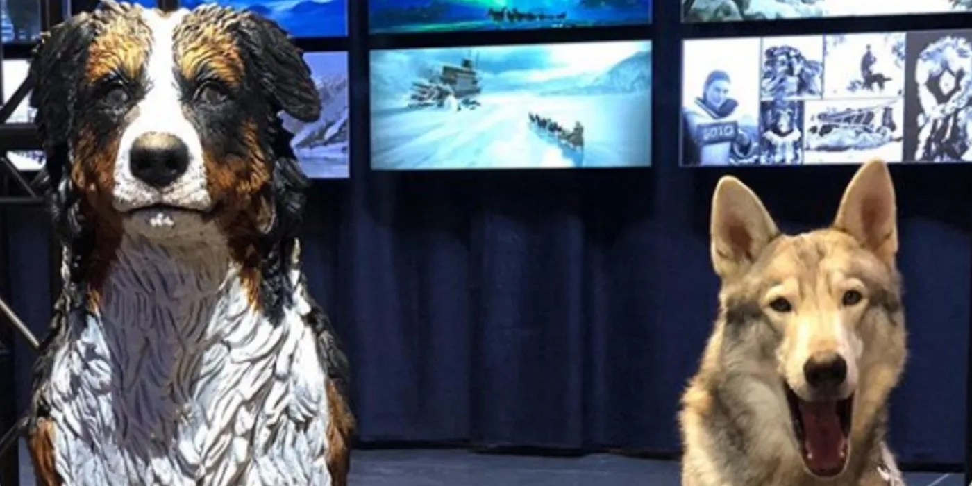 The Call Of The Wild 10 Things You Didn't Know About Buck The Dog