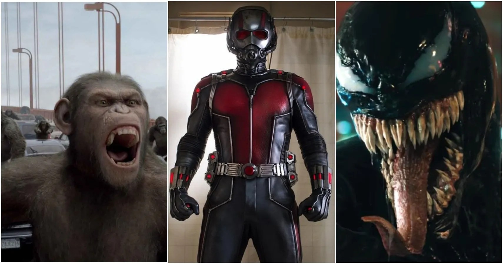 The Best Movies Set In San Francisco Ranked (According to IMDb