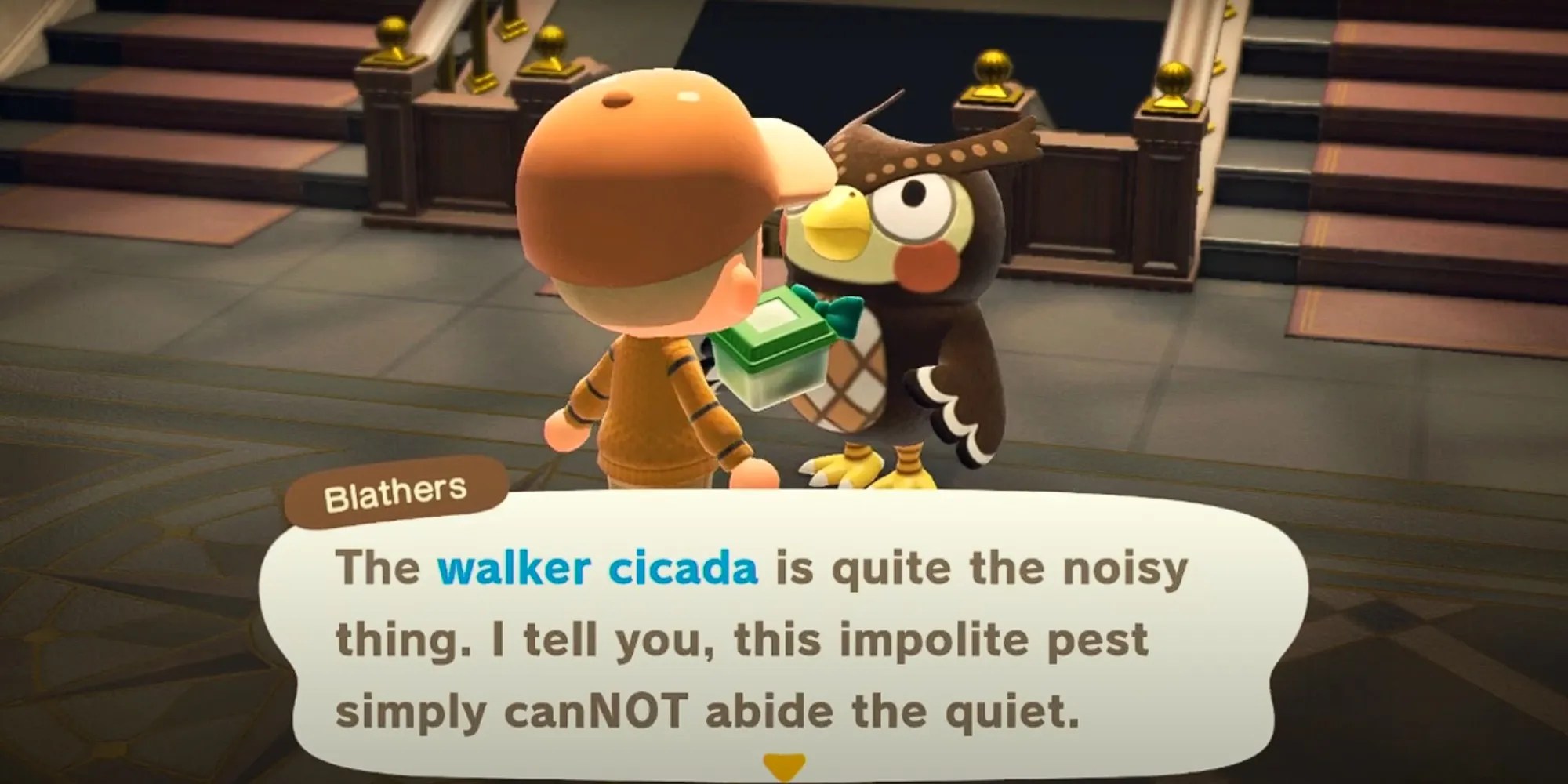 How to Find (& Catch) The Walker Cicada in Animal Crossing Newsedgepoint