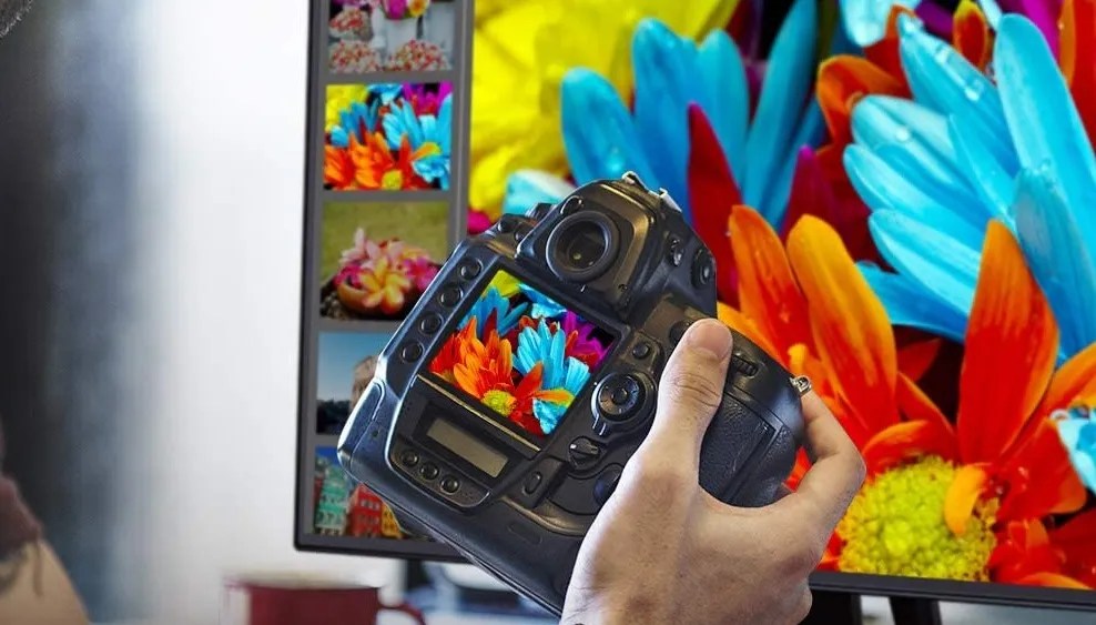 Best Monitor for MacBook Pro (Updated 2021)