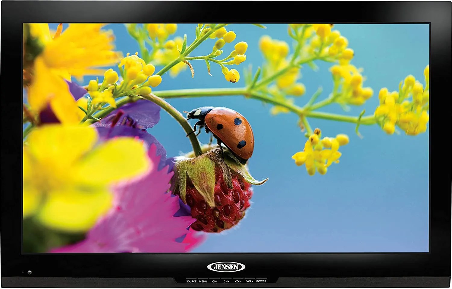 Best 40Inch TV (Updated 2021)